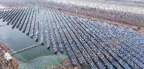 A Fishery-solar Hybrid Project Photovoltaic Power Station in Huai 'an