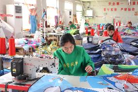 CHINA-SHANDONG-WEIFANG-KITE INDUSTRY (CN)