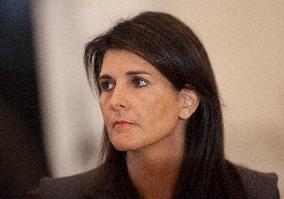 Nikki Haley Surges In Poll To Within Four Points Of Trump
