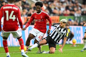 Newcastle United v Nottingham Forest - Premier League