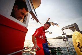 Fishing Trip In Galicia