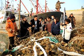 Fishermen sell seafood Via Internet