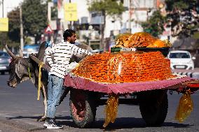 Indian Vendor