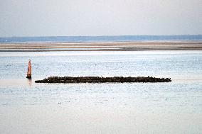 Water level in Dnipro River in Cherkasy