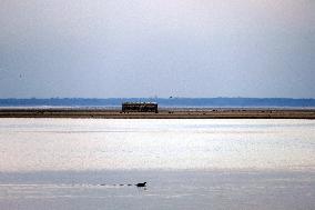 Water level in Dnipro River in Cherkasy