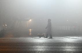 A Fog-shrouded Street in Fuyang