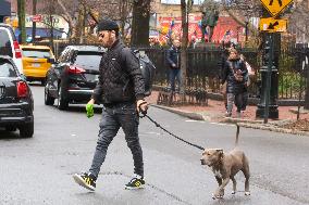 Justin Theroux Walks His Dog - NYC