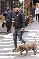 Justin Theroux Walks His Dog - NYC