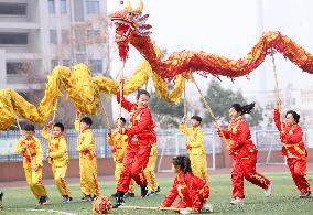 A Traditional Dragon Dance in Hefei