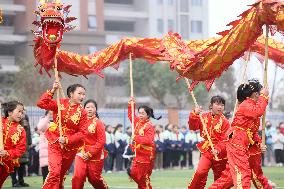 A Traditional Dragon Dance in Hefei