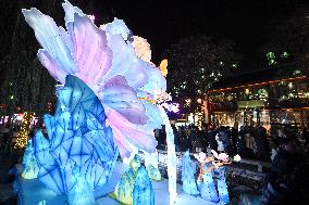 Lantern Light Show in Nanjing