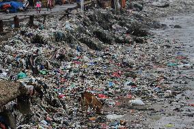 Environmental Issues In Indonesia