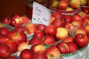 Apple Festival In Markham