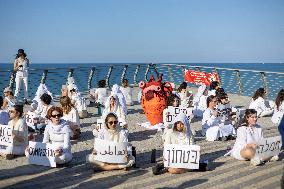 A Display For Peace In Jaffa - Israel