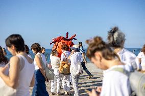 A Display For Peace In Jaffa - Israel