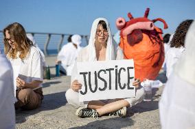 A Display For Peace In Jaffa - Israel