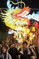 Chinese Celebrate New Year