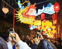 Chinese Celebrate New Year