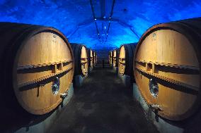 Changyu Underground Wine Cellar in Yantai