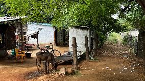 Daily Life In Nilakkottai