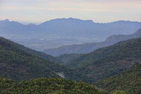 Daily Life In Kodaikanal