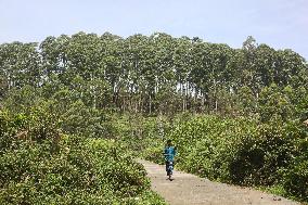 Daily Life In Kodaikanal