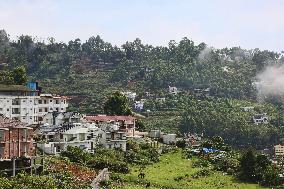 Daily Life In Kodaikanal