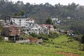 Daily Life In Kodaikanal