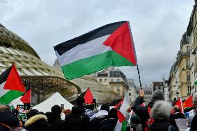 Pro-Palestine Rally - Paris