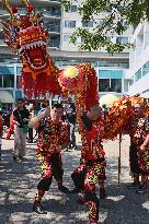 Toronto Chinatown Festival