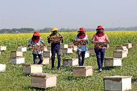 Bangladesh Beekeepers