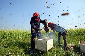 Bangladesh Beekeepers