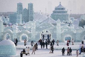CHINA-HEILONGJIANG-HARBIN-NEW YEAR-HOLIDAY (CN)