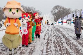 CHINA-HEILONGJIANG-HARBIN-NEW YEAR-HOLIDAY (CN)