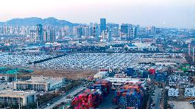 Shandong Free Trade Zone