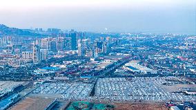 Shandong Free Trade Zone