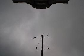 Dance Of The Voladores Of Cuetzalan - Mexico