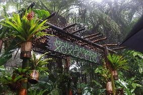 Xoxoctic Botanical Garden - Mexico