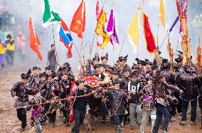 Bullfight in Congjiang