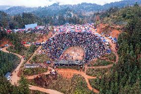 Bullfight in Congjiang