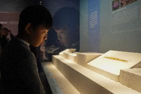 CHINA-HUNAN-CHANGSHA-EXHIBITION ON ANCIENT GREECE (CN)