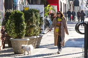 Camila Mendes Walks Her Dog - NYC