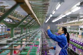 #CHINA-NEW YEAR-PRODUCTION (CN)