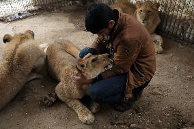 MIDEAST-GAZA-RAFAH-ZOO