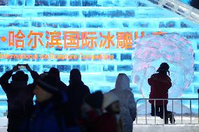 CHINA-HEILONGJIANG-HARBIN-SNOW TOURISM(CN)