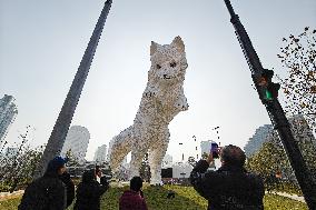 A Giant Arctic Fox Sculpture in Shangha