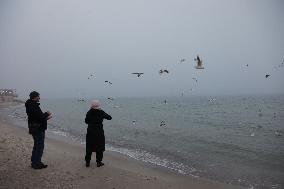 Foggy evening in Odesa in winter