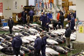 New Year tuna auction in Tokyo