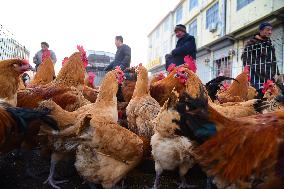 A Livestock And Poultry Market in Zaozhuang