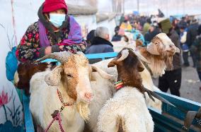 A Livestock And Poultry Market in Zaozhuang
